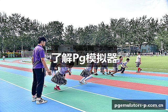 了解Pg模拟器
